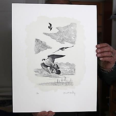 Harald Duvhök/Korpar 2/75 litografi