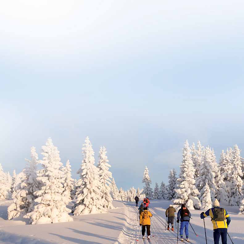 Vad händer i kroppen när du slutar? Din kropp börjar omedelbart återhämta sig från rökningens skadliga verkan när du slutar.