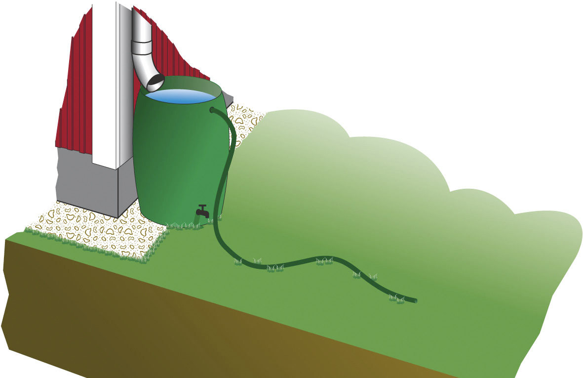 Regnvattenbehållare Ett tredje alternativ är att låta stuprören mynna i en eller flera behållare istället för att gå ned i avloppssystemet.