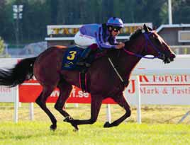 TIPS & RANK V & V TÄBY GALOPP BANKOD AV ULF ZEIDER Lopp Lopp - V- Lopp - V- Lopp - V-, SK Lopp - V-, V- Lopp - V-, V- Lopp - V-, V- Lopp 8 - V-, TRIO OBS! Loppet ingår inte i något av seriespelen!