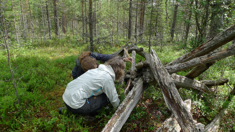 I Jovans ekopark i Västerbotten finns många samiska kulturspår som till exempel härdar och barktäkter. Model Forest: Inom Vilhelmina kommun har en Model Forest etablerats.