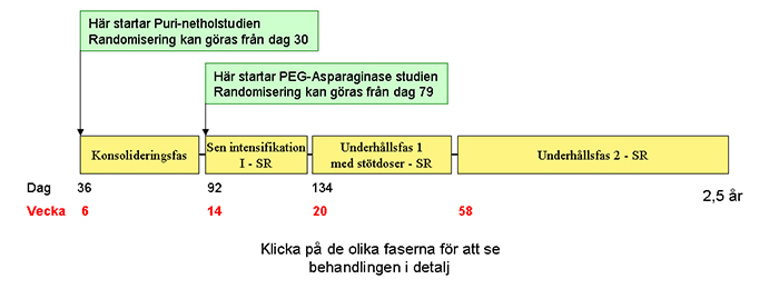 Översikt för standardbehandling (SR) Mer information Läs mer om Konsolideringsfas, Sen intensifikation