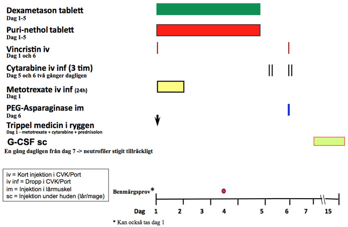 Block B Högriskbehandling Mer information Läs mer om Cytarabine (högdos), Metotrexate (högdos), PEG-asparaginase,