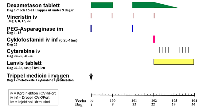 Intensifikation I Högriskbehandling Mer information Läs mer om PEG-asparaginase,