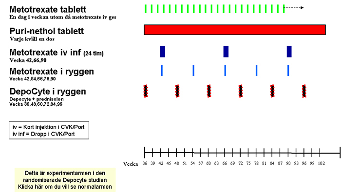 Experimentarmar Experimentarm i Depocyt studien Högriskbehandling Mer information Läs mer om Metotrexate