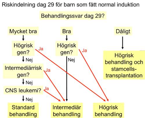 När vi känner dessa tre faktorer kan vi göra den andra riskindelningen. Denna skiljer sig beroende på om barnet från början fått normal induktion eller högrisk induktion.