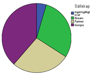 3) Har respondenten valt att besöka UM ensam eller i sällskap av kamrat eller partner? Den största andelen av våra respondenter besökte UM i sällskap av en kompis (n=17, 39 %).