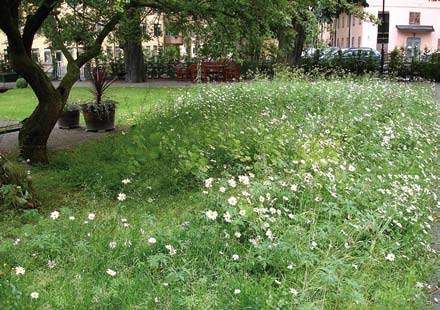 FÖRSLAG PÅ ÅTGÄRDER Entréer och samband ute inne Entréområdet in från Norrtullsgatan ses över: markbeläggningen byts ut, belysning och skyltning förbättras, soffor