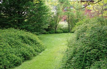 De organisatoriska hindren är bristande assistens, resurser och rutiner i vård- och omsorgssammanhang.