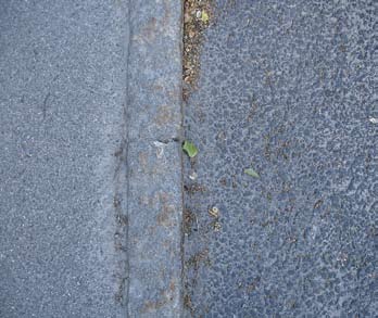 En stabil, robust stomme av träd, buskar och perenner med tillägg av sommarblommor och odlingar i urnor samt planteringslådor ger en lummig utemiljö med rimlig skötsel.