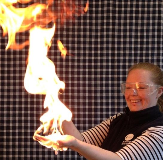 Gör undersökningen till ett experiment En undersökning är en eller en samling observationer av något i naturen.