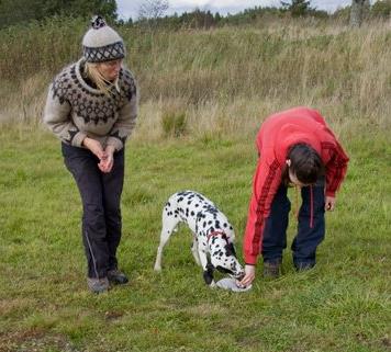 Ta till exempel att du håller på att shapa hunden till att stå rakt framför dig.