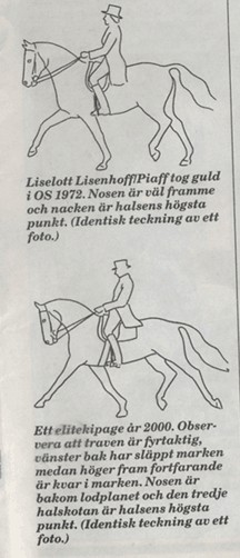 28 Figur 3: Bild på ekipage vid dressyrtävling 1972 (övre) samt 2000 (nedre). Bilden är hämtad ur tidningen Ridsport (Högkvist, 2004). Figur 4: Bild på häst som piafferar (travar på stället).