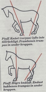 Bilaga 2: Frågeformulär Vad är klassisk ridning (tycker du)? Rider du själv klassisk ridning, eller enligt de klassiska principerna?