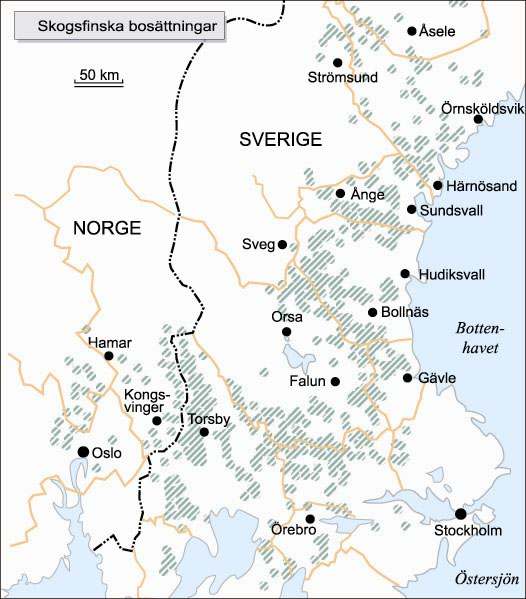 eftertraktade av skogsbolagen. Många finnbönder sålde också sina skogsskiften till skogsbolagen och blev arrendebönder samt kolare.