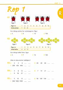 Diagnosen efter varje grunddel ger vägledning om eleven bör arbeta vidare med Spår 1, repetition, eller Spår 2, utmaning. 4.