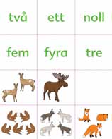 Lyckotal matematik med hjärta och hjärna.