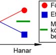 Medel 12 ) - (Medel 21 + Medell 22 ) = 0, d.v.s. medel för Före är lika med medel för Efter. Slutligen ställer vi upp en nollhypotes om interaktionen, d.v.s. samverkan, mellann de båda faktorerna.