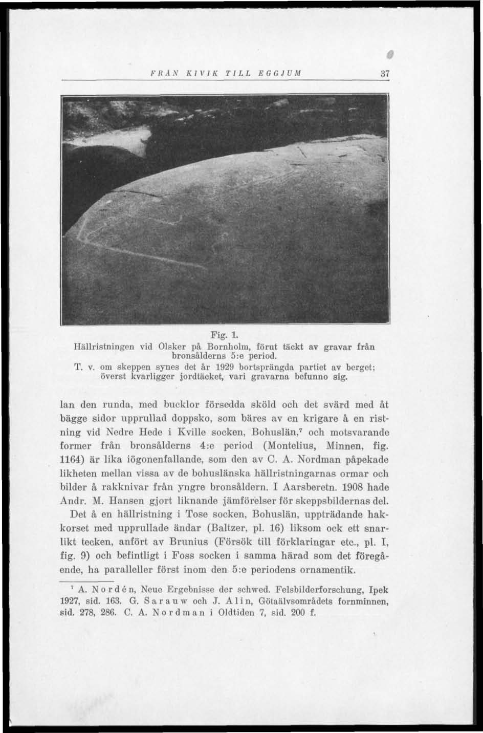 FRÅN KIVIK TILL EGGJUM 37 0 Fig. 1. Hällristningen vid Olsker på Bornholm, förut täckt av gravar från bronsålderns 5:e period. T. v. om skeppen synes det år 1929 bortsprängda partiet av berget; överst kvarligger jordtäcket, vari gravarna befunno sig.