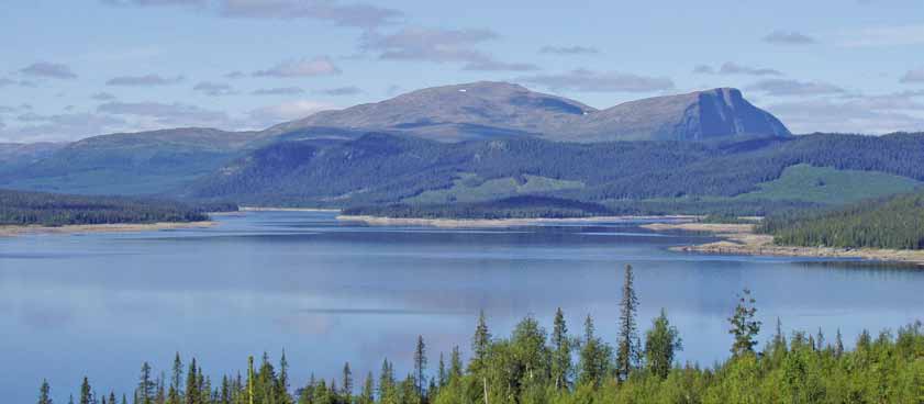 Välkommen till Doro Camp Lappland Välkommen till Doro Camp Lappland Doro Camp Lappland är den första campingen du möter i södra Lappland.