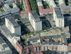 Väggar och tak är viktiga komplement till gröna markytor i detta sammanhang. kommer att använda samma grönytor.