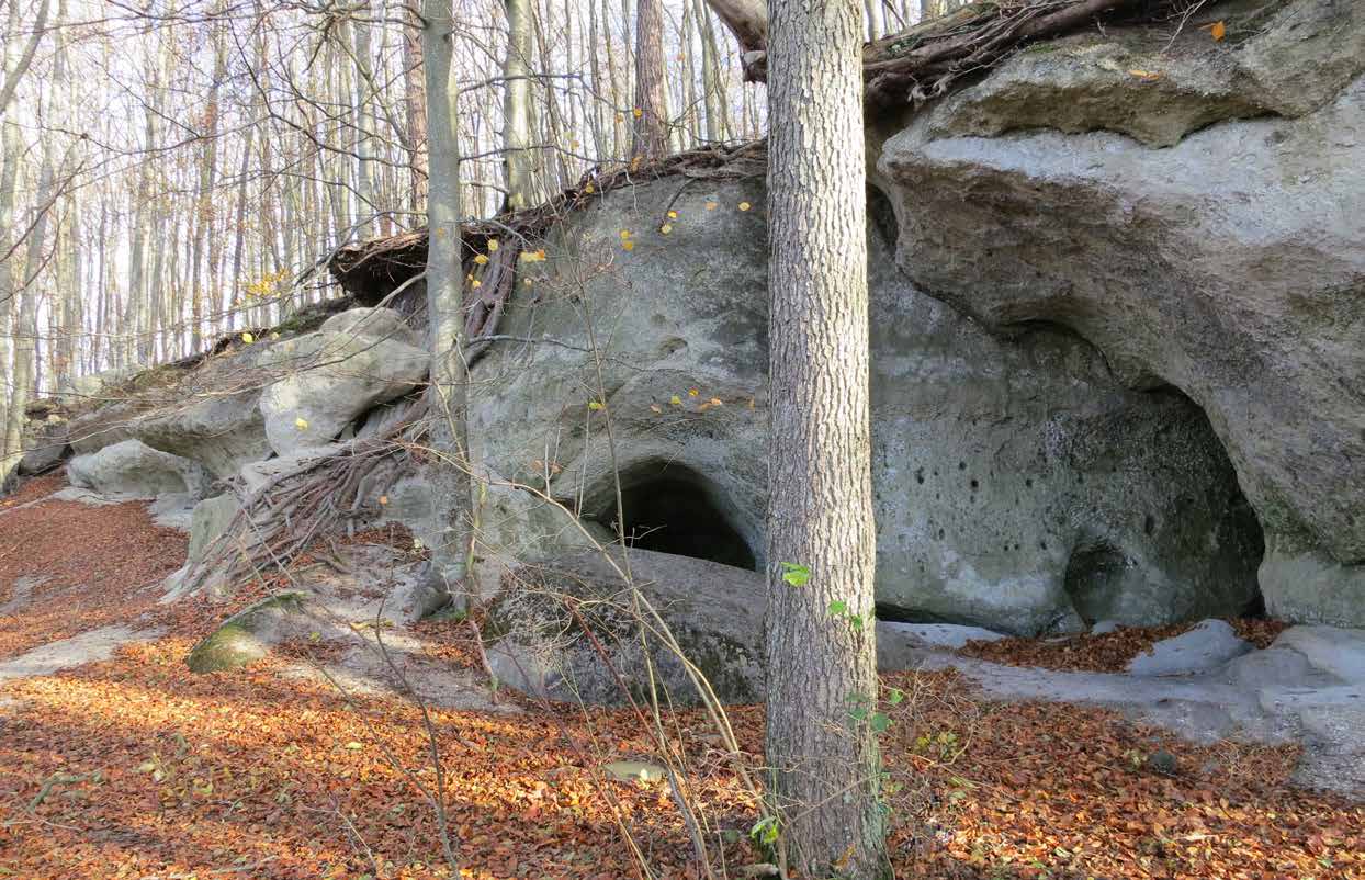 BERG OCH GROTTOR I naturtypsgruppen berg och grottor ingår även rasmarker och hällmarker.