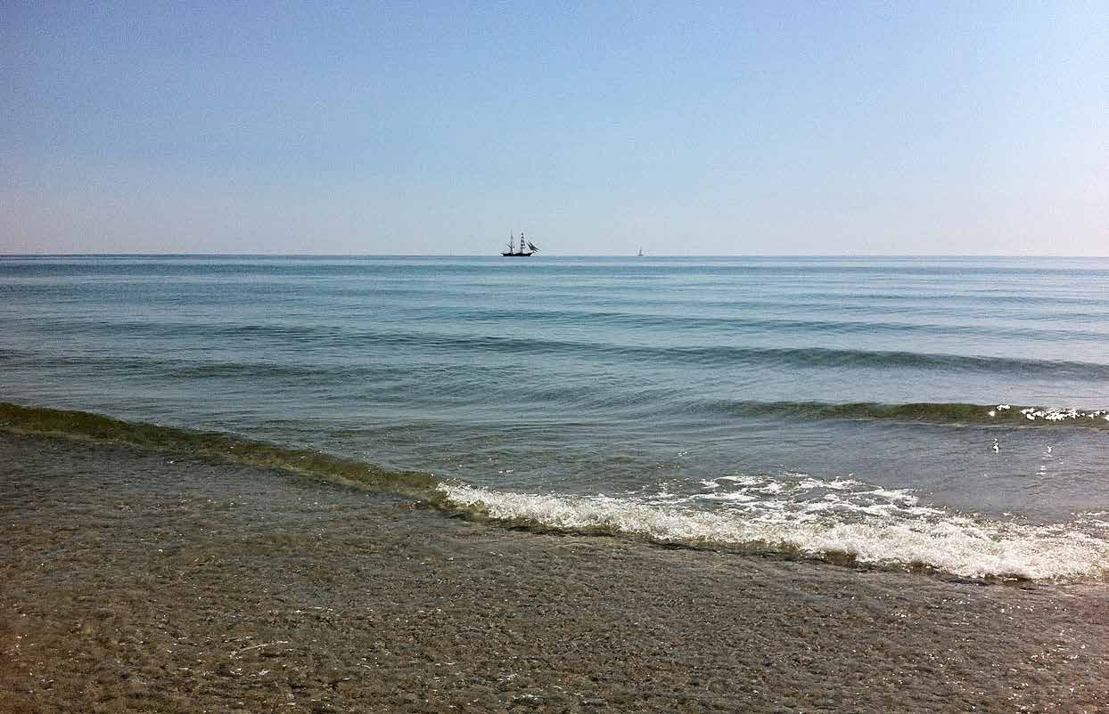 HAV I Sverige varierar förhållandena i havet från oceanlika till nästan limniska, med stor variation i fråga om naturtyper.