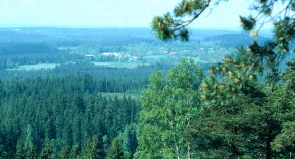 Om beräkningarna Markanvändning och skogsskötsel i scenarierna Skogsmarksarealens fördelning på olika klasser för ägar- och markanvändning är en viktig grund för beräkningarna.