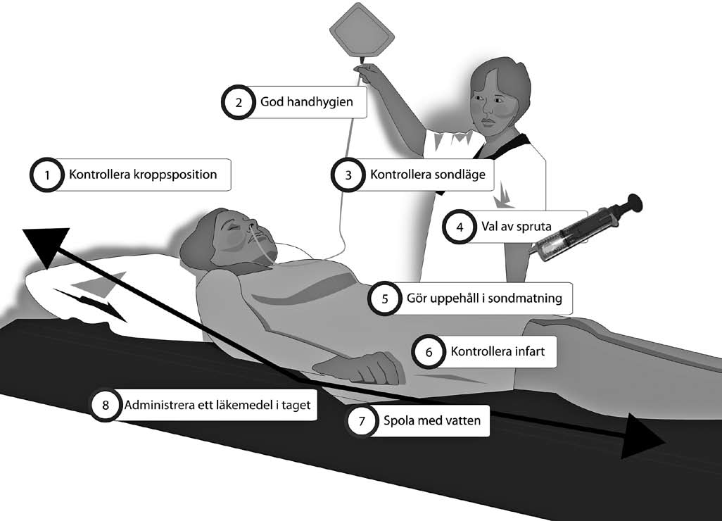 Figur 2. Kontrollpunkter vid enteral administrering av läkemedel. 2 1 3 4 5 6 8 7 Illustration: Linda Skogfeldt. 1. 2. 3. 4. 5. 6. 7. 8. Vid administrering via sond bör patienten om möjligt vara sittande eller halvsittande (30º 45º höjd huvudända) (1).