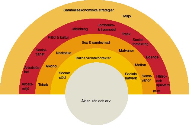 Hälsans bestämningsfaktorer Samband mellan hälsa, individ och samhälle Som grund för välfärdssamhället har demokratin avgörande betydelse för folkhälsan.