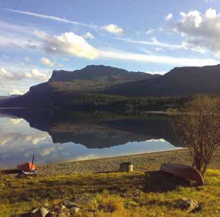 Naturligtvis för att de ville starta ett nytt liv men också för att de visste var det nya livet fanns. I dag är deras företag, Outdoor Ticket, ett av fyra hundspannsbolag i Sorsele.