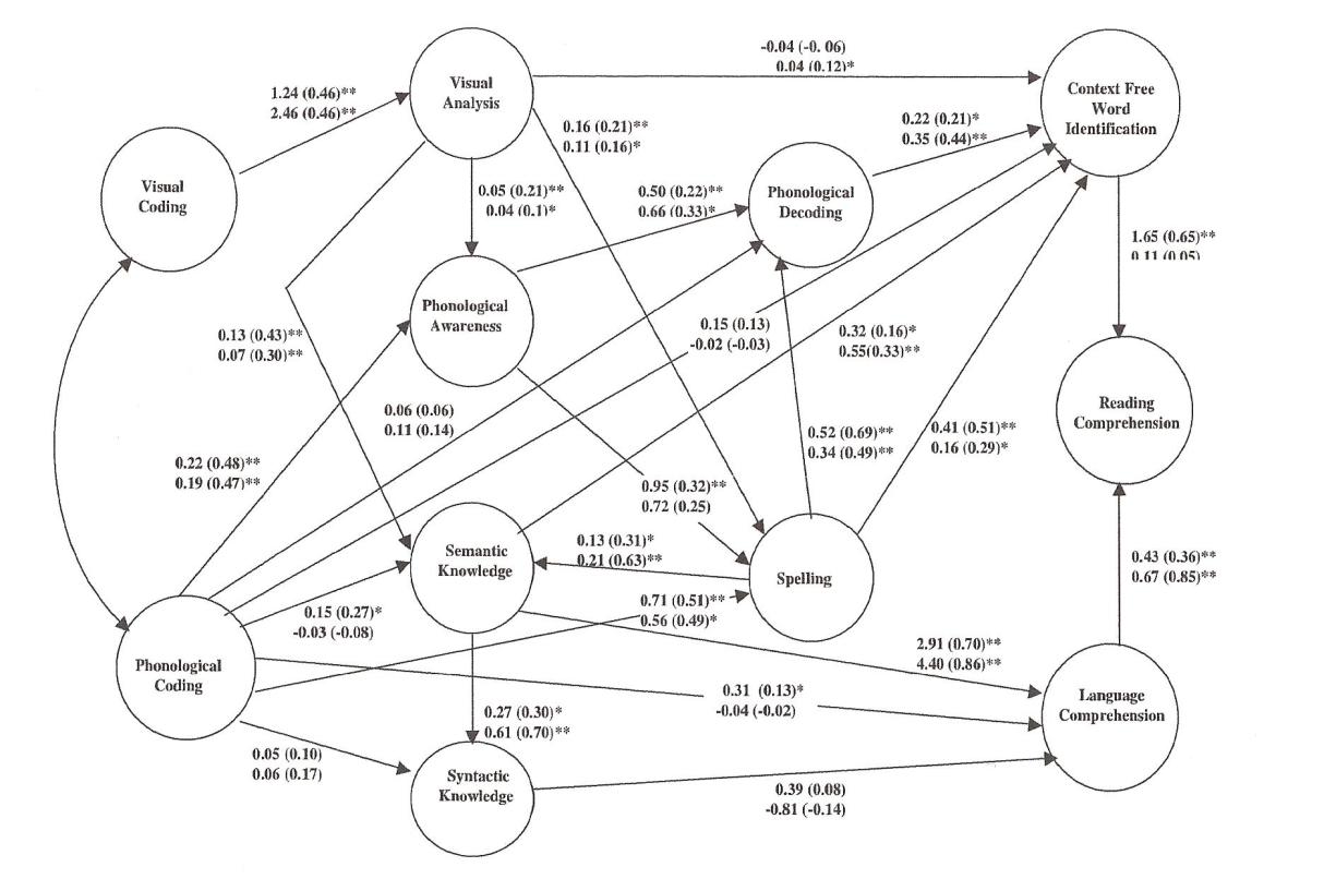 Figur 1. Modell av läsutveckling, Convergent skills model (Vellutino m. fl. 2007, s. 6) Yngre/äldre grupp.