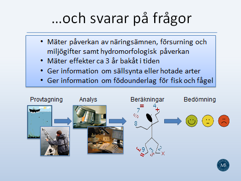 Tema : Livet på botten Martin Liungman, Medins Biologi AB MASKAR, MÄRLOR OCH ANDRA GYTTJEDJUR: LIVET PÅ 120 M DJUP Martin Liungman började med att undra hur det egentligen ser ut på