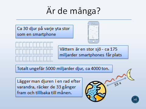 Det råder i alla fall totalt mörker och man måste gilla gyttja konstaterade han utan att själv varken varit där eller ens sett det på plats.