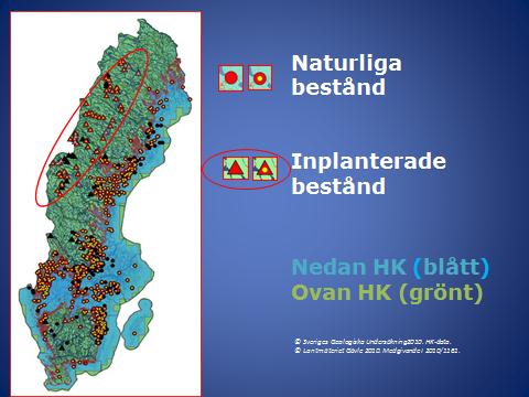 Men betydligt mer okända är de små kräftdjuren som för en undanskymd tillvara i landets sjöar ofta nere på botten, däribland Vättern.