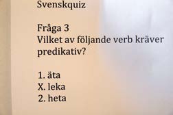 Förstaårseleverna som tog emot besökare på engelska institutionen lovordade sin skola.