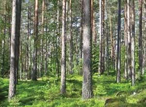 ett friluftsområde för