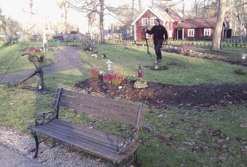 Minneslunden på Blidö får nytt utseende Nu ska minneslundens planteringar få nytt vackert ljust utseende. Idegranarna som med åren blivit för stora och risiga har tagits bort.