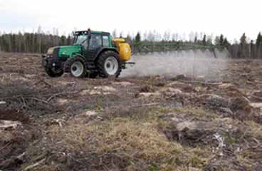 Tallspinnarsteklarnas angrepp i området hade lett till att närmare 200 hektar tallskog måste avverkas i förtid, och risken var överhängande att insekten under sommaren skulle sprida sig ytterligare