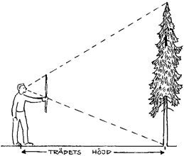 Kubik och euron Har du funderat på hur mycket virke det finns i ett träd? Eller hur höga träden i skogen är? Du behöver inga dyra mätredskap för att ta reda på det.