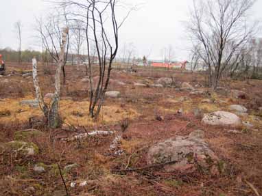 minnesområde (Raä 22:1). Runt omkring röset finns ett antal markfasta block, varav några har skålgropar inristade. Inom området finns även en 20 m lång stensträng registrerad.