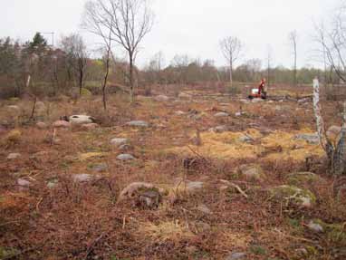 av de stora ytor som var belamrade med stora stenblock (fig.7). Både i söder och i öster medförde den täta vegetationen svårigheter för maskinen att ta sig in.