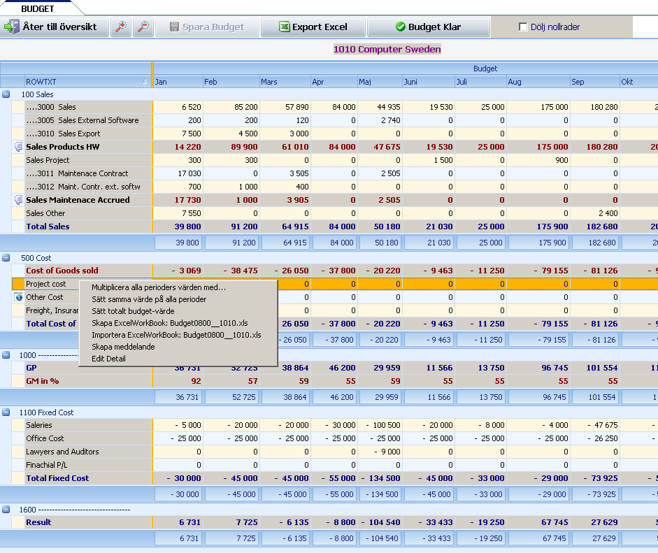 Budget/Prognos samt Analys IT