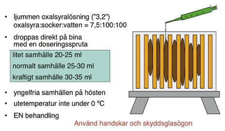 genom att invintras på enbart socker. Men att invintring på socker skulle vara orsaken till de stora förlusterna finns det inga belägg för.