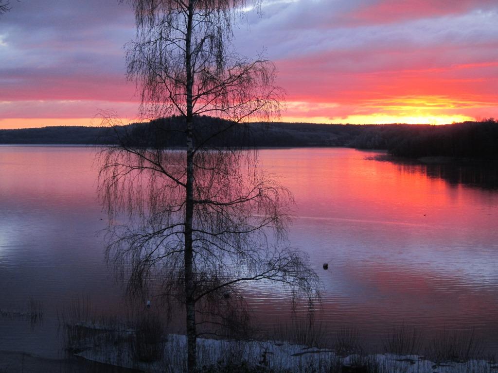 Elanvändningen i historiskt