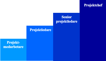 är en beskrivning av IPMA:s krav för att bli en certifierad projektledare samt en handledning för självutvärdering och kartläggning av sin projekterfarenhet.