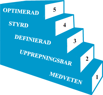 3.11.2 Fem mognadsgrader Enligt P3M3 kan en organisations projektmognad delas in en femgradig skala, där mognadsnivå ett är den lägsta nivån och mognadsnivå fem är den högsta (se figur 3.15).