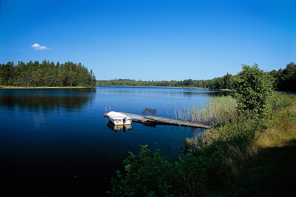 PROCLIENT NEWS I ÅRGÅNG 4 1 NEWS VD har ordet; Sommar, sol och semester! Efter en ovanligt lång vinter kom så äntligen våren och sommaren.