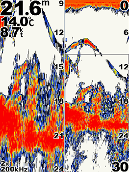 Använda ekolod Delad frekvensbild På den här skärmen (endast givare med dubbla frekvenser) kan du visa 50 khz- och 200 khz-frekvenserna på samma skärmbild.