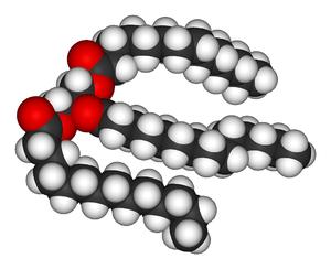 Fetter triglycerider